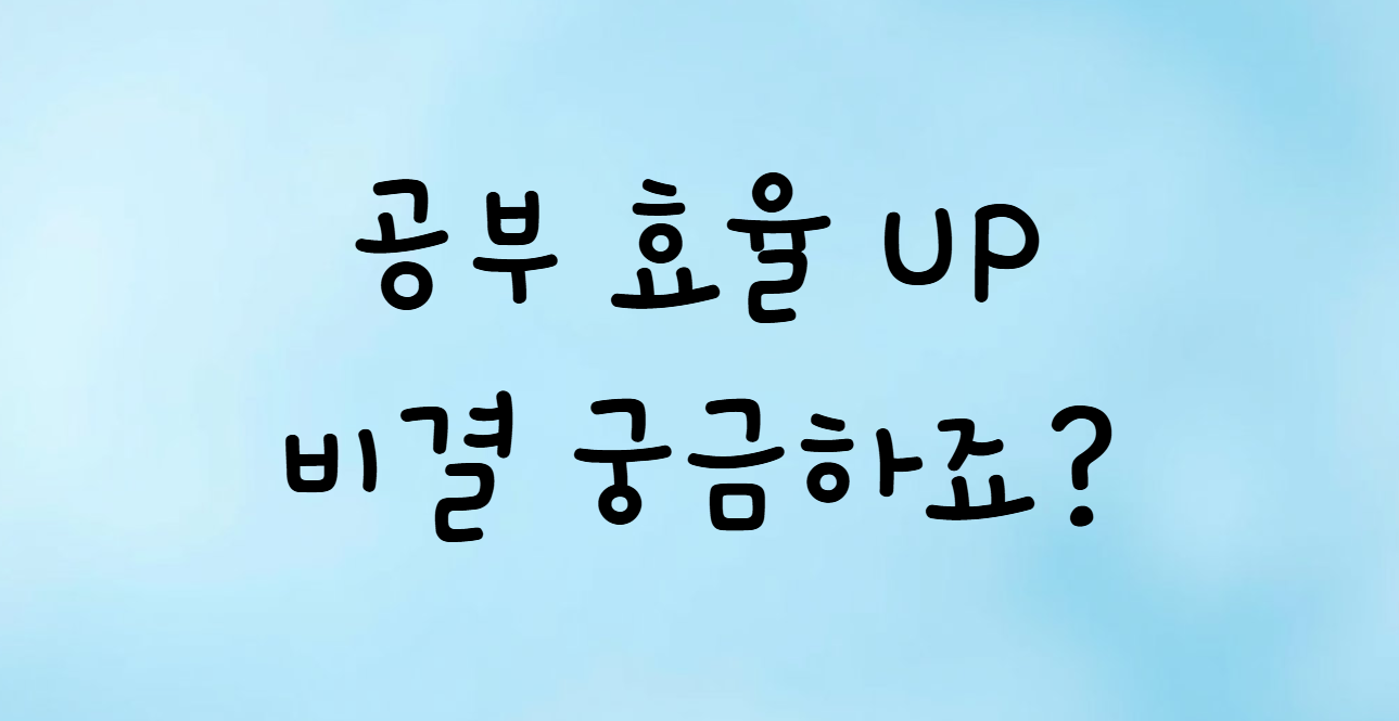 스터디 카페