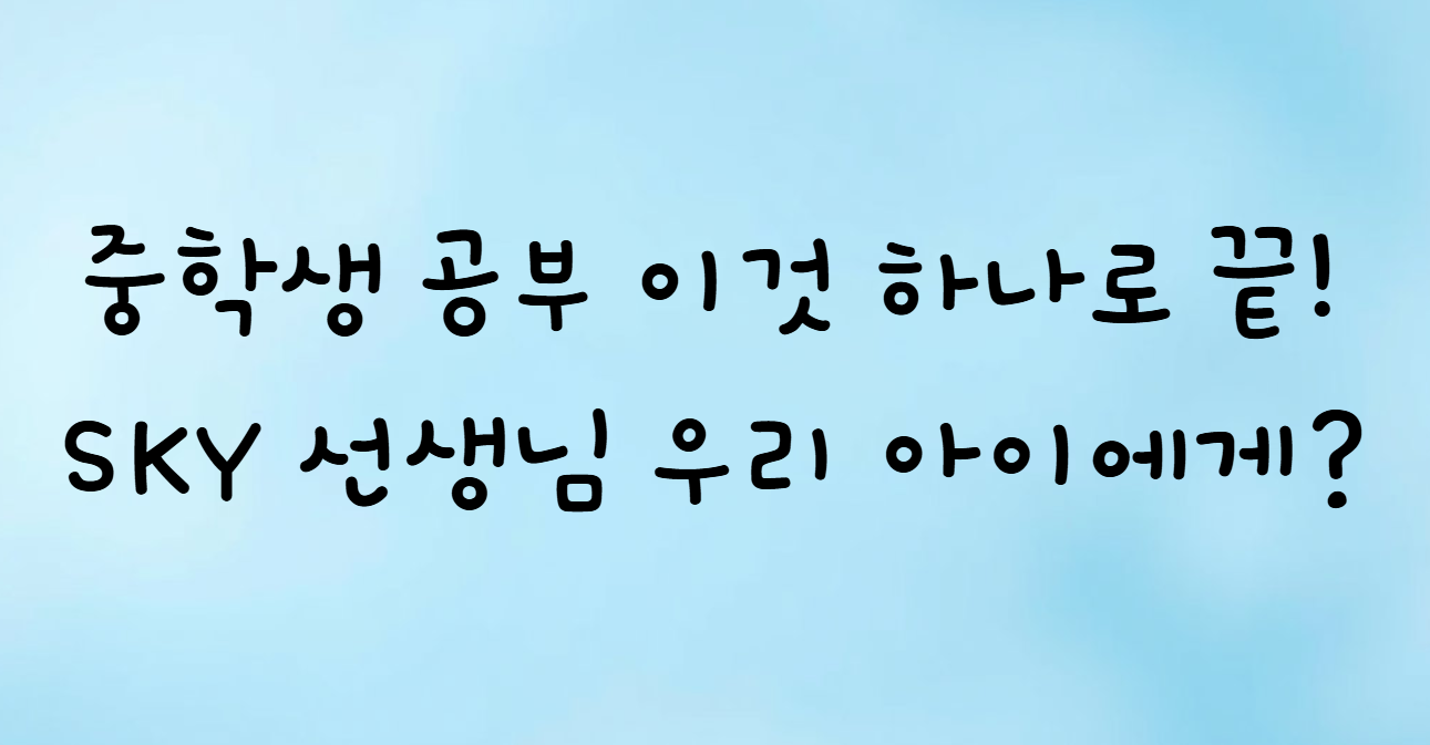 1:1 과외