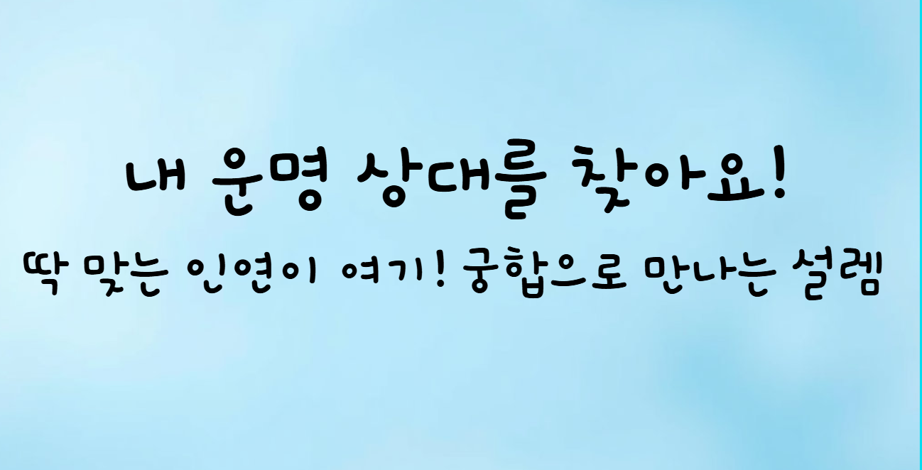 소개팅 앱